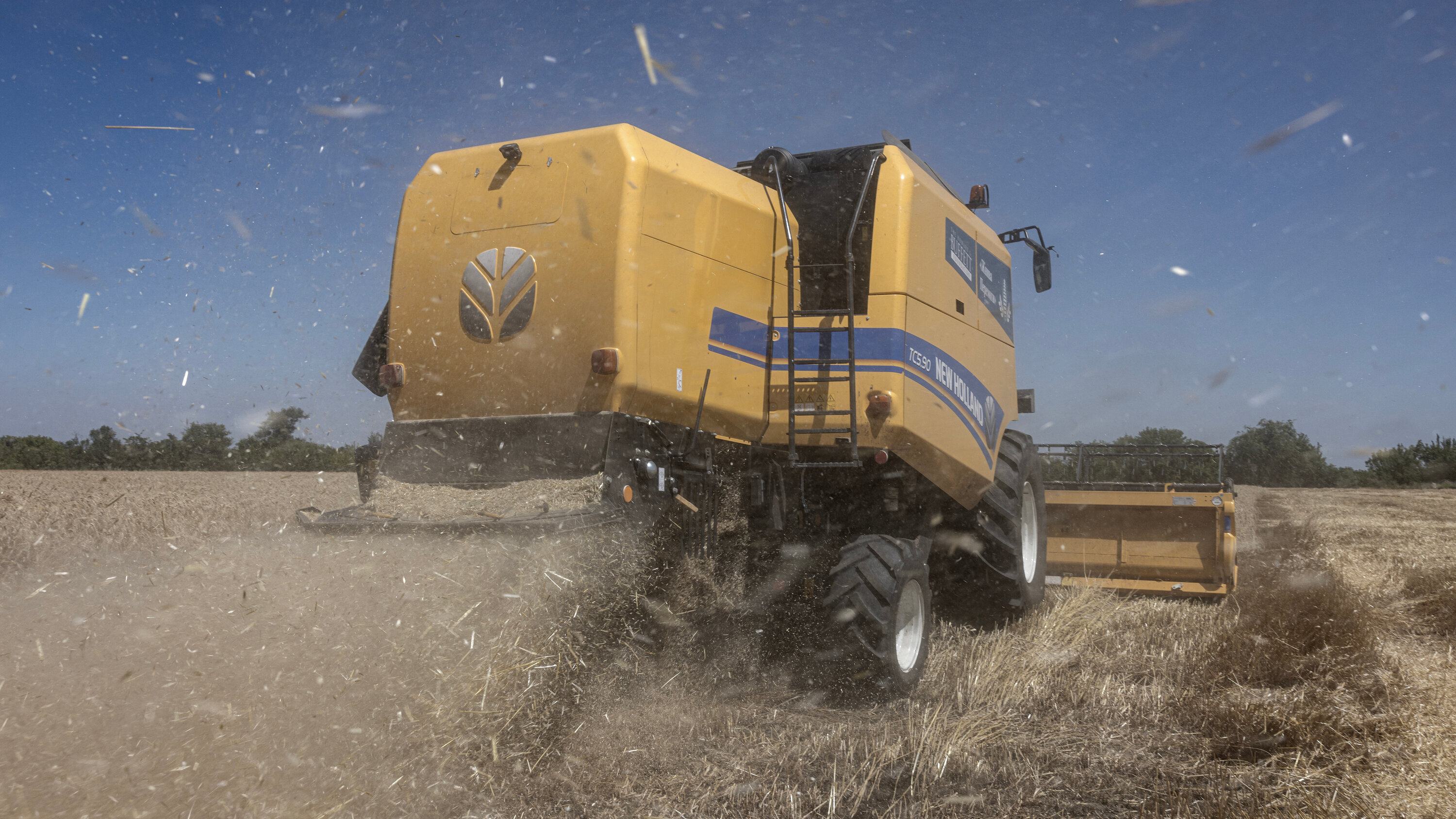 ЄС розглядає можливість субсидування транспорту для експорту зерна з України